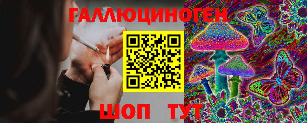 Галлюциногенные грибы прущие грибы Саянск