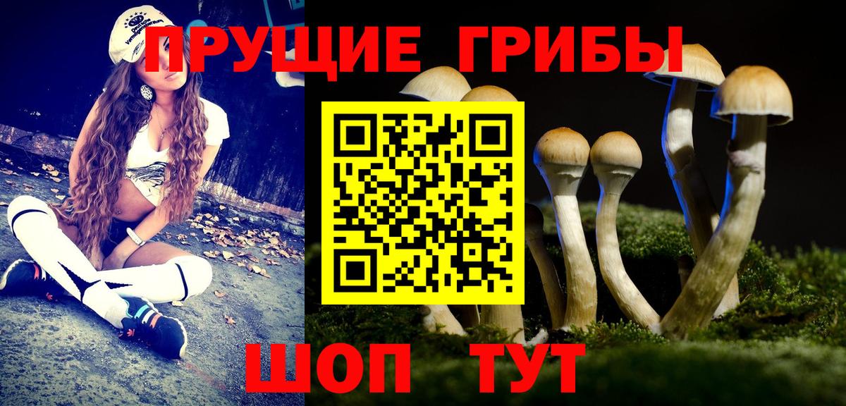 Галлюциногенные грибы ЛСД  Вход с VPN  Галлюциногенные грибы Magic Shrooms  Саянск 